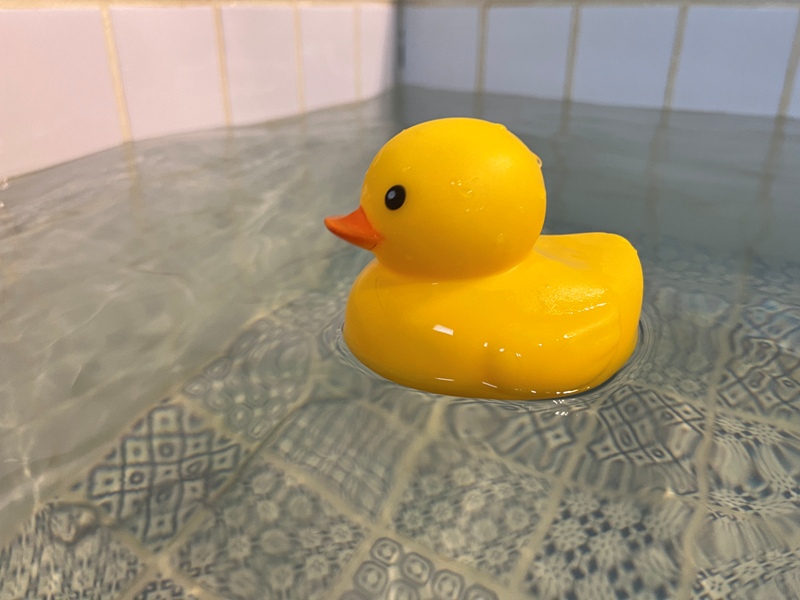 yilanonionspring0120013525 礁溪-蔥澡 與黃色小鴨悠游的療癒設計湯屋