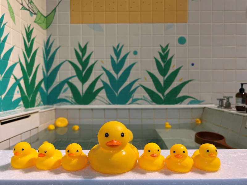 yilanonionspring0120013526 礁溪-蔥澡 與黃色小鴨悠游的療癒設計湯屋