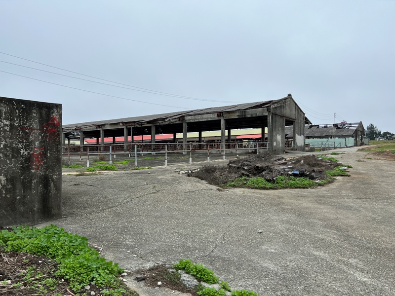 dajiamt08 外埔-鐵砧山 輕取海邊小百岳