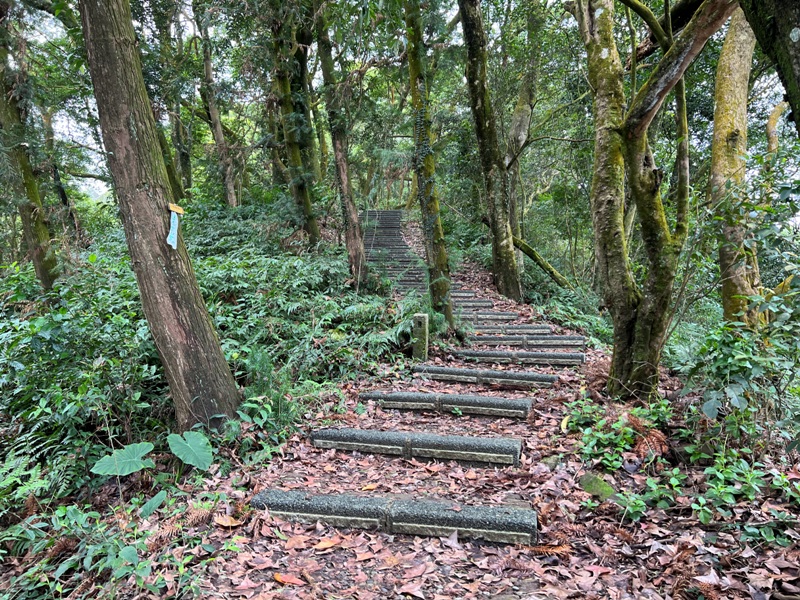 guandao11 三義-關刀山 出關古道關聖段 超冷門小百岳