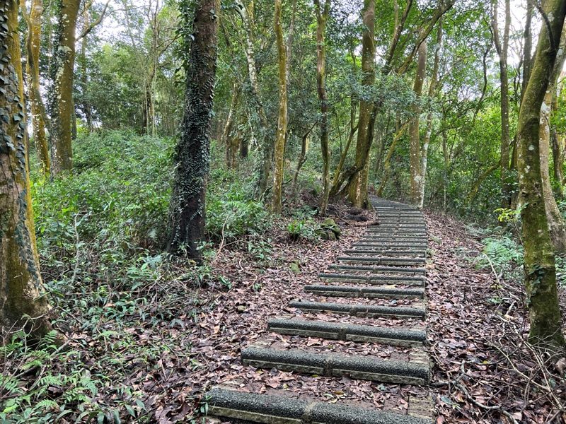 guandao13-rotated 三義-關刀山 出關古道關聖段 超冷門小百岳