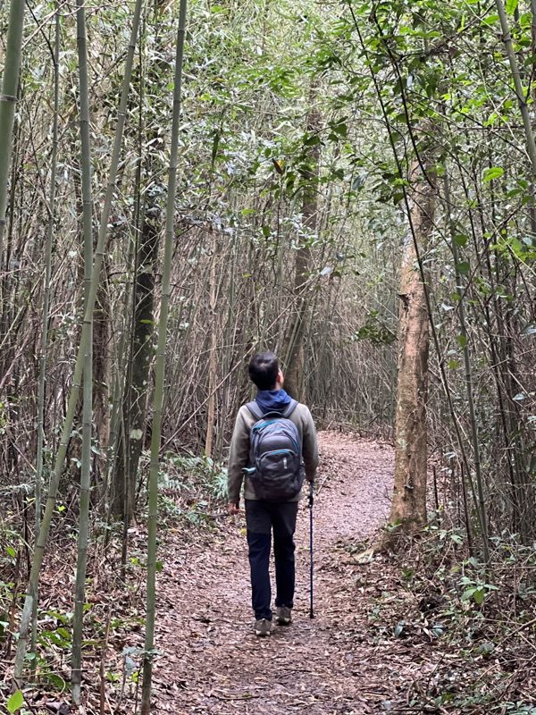 guandao15-rotated 三義-關刀山 出關古道關聖段 超冷門小百岳