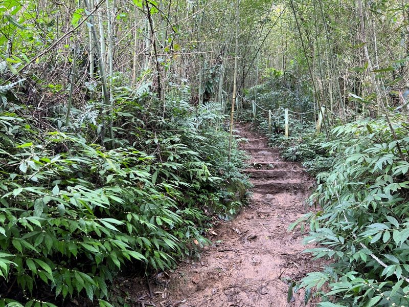 guandao25-rotated 三義-關刀山 出關古道關聖段 超冷門小百岳
