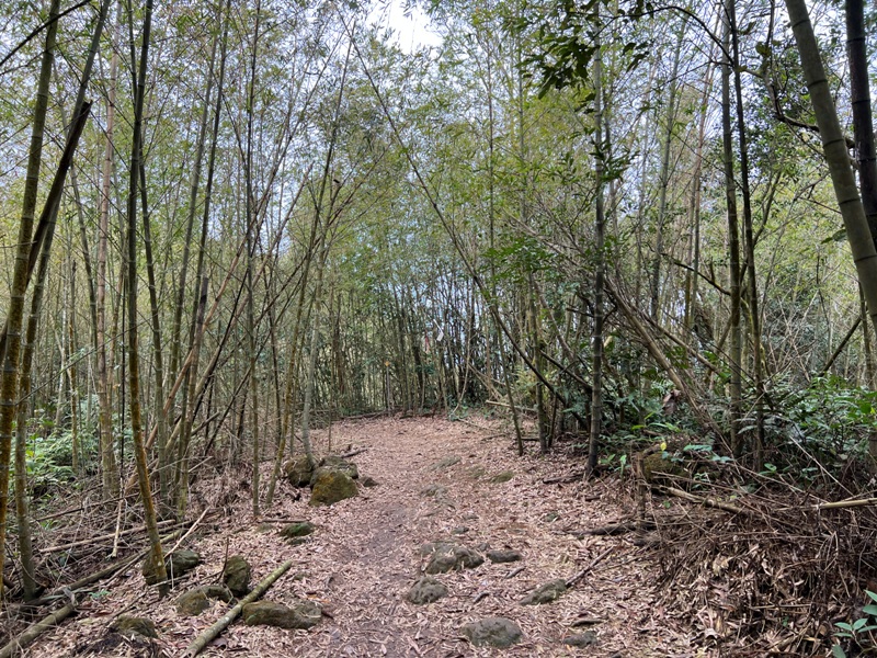 guandao31 三義-關刀山 出關古道關聖段 超冷門小百岳