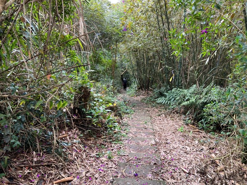 guandao41-rotated 三義-關刀山 出關古道關聖段 超冷門小百岳