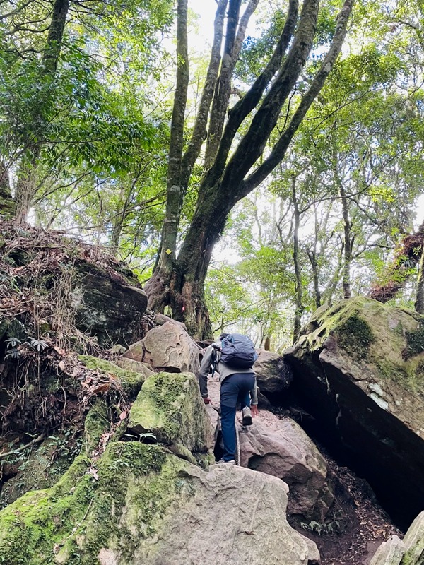 南庄-苗栗國第一高峰 小百岳加里山 拉繩攀岩直上頂峰 南庄-苗栗國第一高峰 小百岳加里山 拉繩攀岩直上頂峰