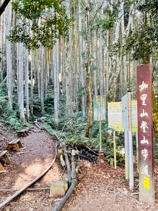 jialimt02 南庄-苗栗國第一高峰 小百岳加里山 拉繩攀岩直上頂峰