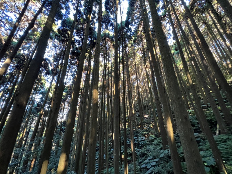 jialimt06 南庄-苗栗國第一高峰 小百岳加里山 拉繩攀岩直上頂峰