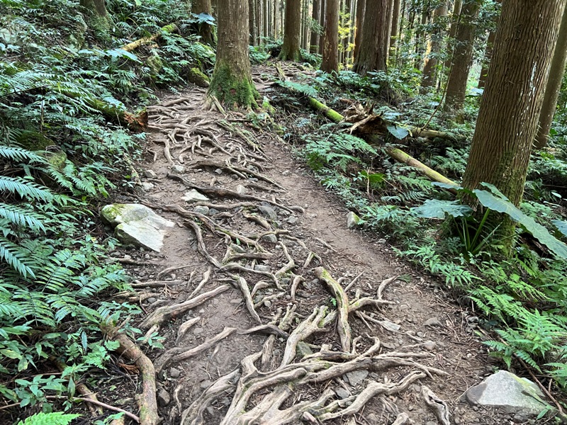 jialimt07 南庄-苗栗國第一高峰 小百岳加里山 拉繩攀岩直上頂峰