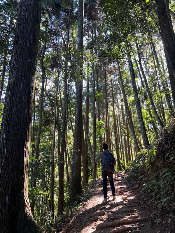 jialimt11-rotated 南庄-苗栗國第一高峰 小百岳加里山 拉繩攀岩直上頂峰