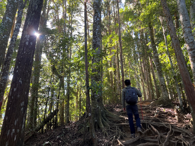 jialimt12 南庄-苗栗國第一高峰 小百岳加里山 拉繩攀岩直上頂峰