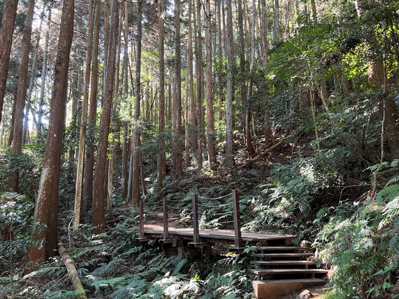 jialimt13 南庄-苗栗國第一高峰 小百岳加里山 拉繩攀岩直上頂峰