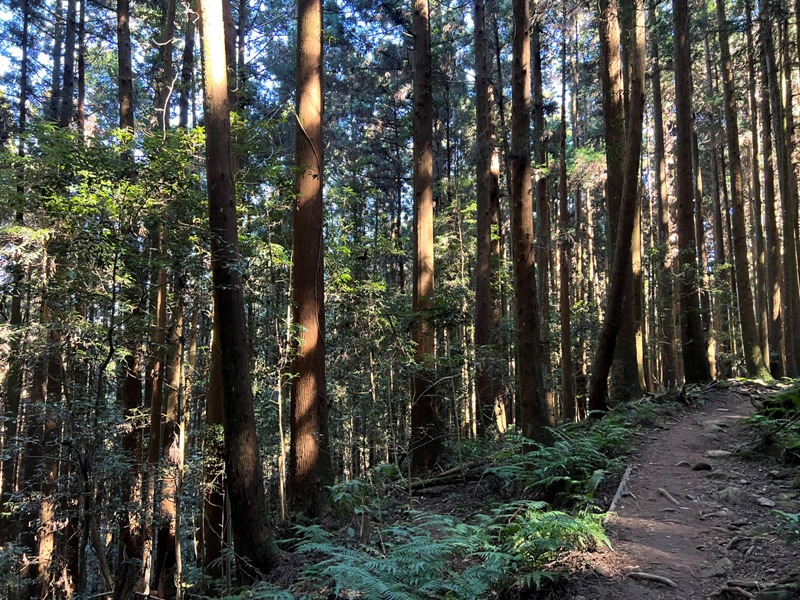 jialimt15 南庄-苗栗國第一高峰 小百岳加里山 拉繩攀岩直上頂峰