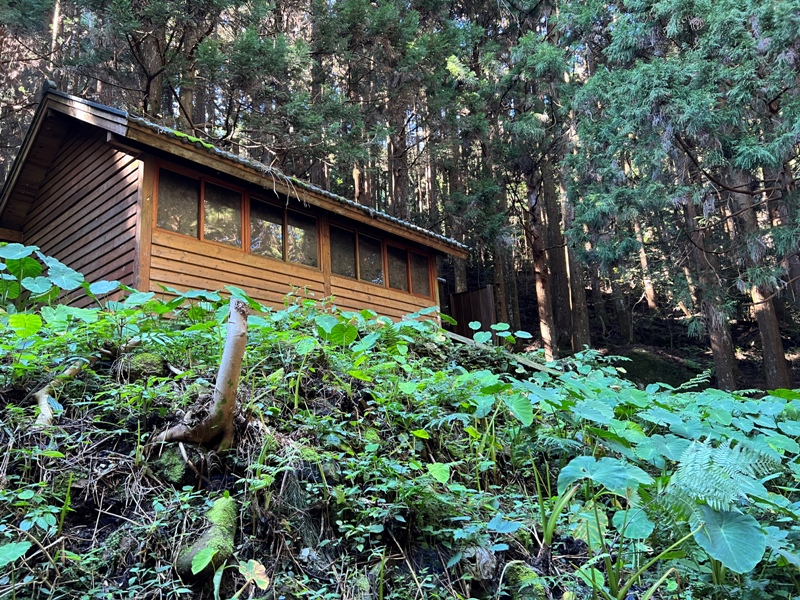 jialimt18-1 南庄-苗栗國第一高峰 小百岳加里山 拉繩攀岩直上頂峰