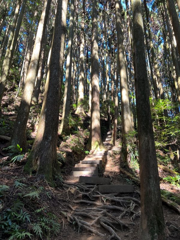 jialimt21-rotated 南庄-苗栗國第一高峰 小百岳加里山 拉繩攀岩直上頂峰