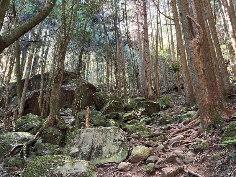 jialimt24 南庄-苗栗國第一高峰 小百岳加里山 拉繩攀岩直上頂峰