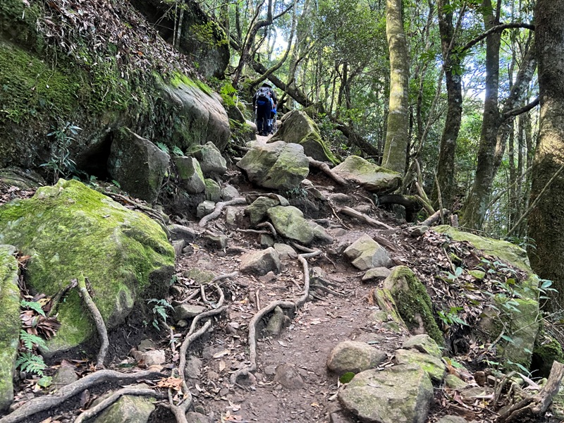 jialimt25 南庄-苗栗國第一高峰 小百岳加里山 拉繩攀岩直上頂峰
