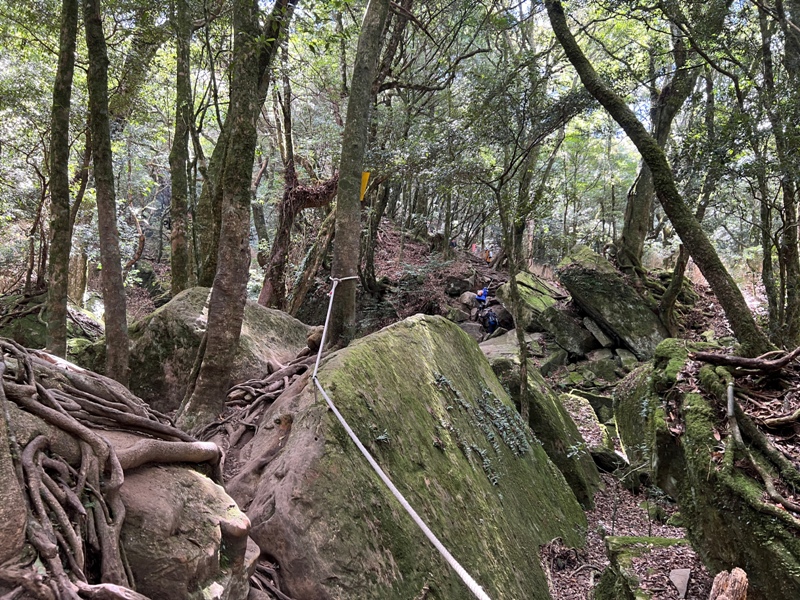 jialimt28 南庄-苗栗國第一高峰 小百岳加里山 拉繩攀岩直上頂峰