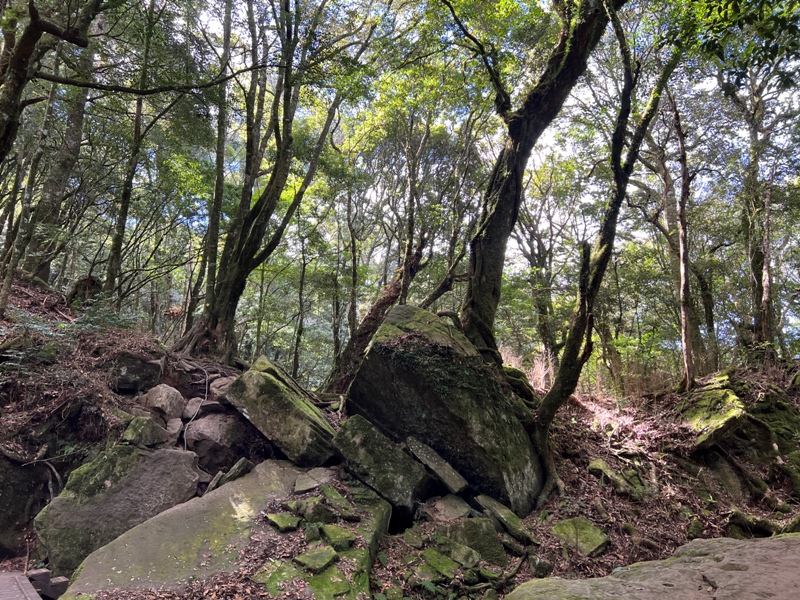 jialimt29 南庄-苗栗國第一高峰 小百岳加里山 拉繩攀岩直上頂峰
