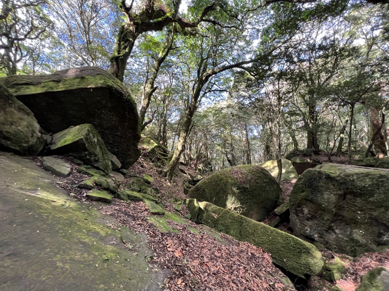 jialimt30 南庄-苗栗國第一高峰 小百岳加里山 拉繩攀岩直上頂峰