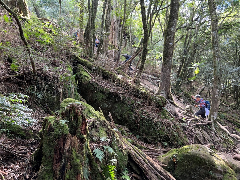 jialimt31 南庄-苗栗國第一高峰 小百岳加里山 拉繩攀岩直上頂峰