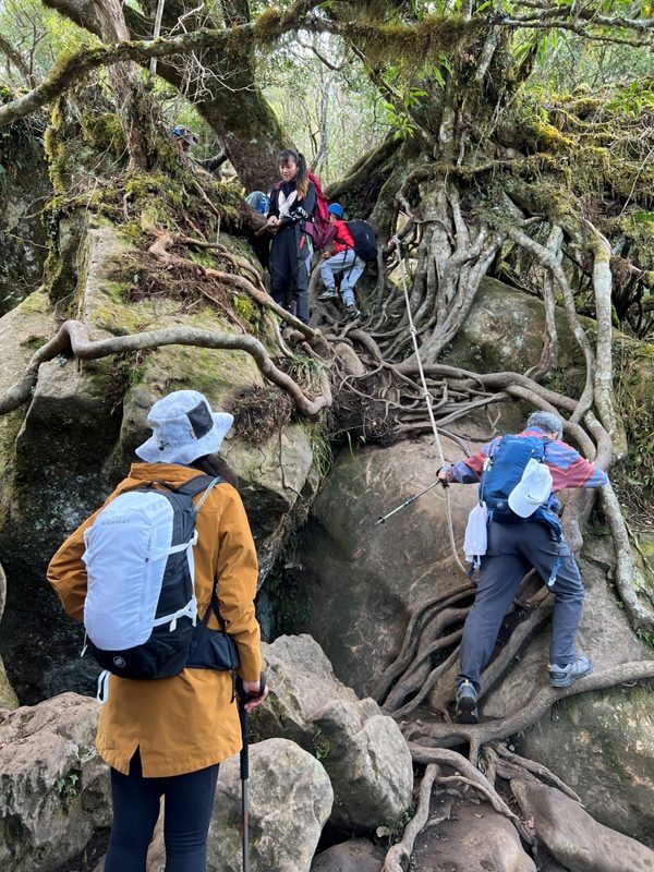 jialimt36-rotated 南庄-苗栗國第一高峰 小百岳加里山 拉繩攀岩直上頂峰