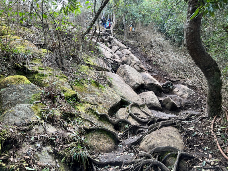 jialimt41 南庄-苗栗國第一高峰 小百岳加里山 拉繩攀岩直上頂峰
