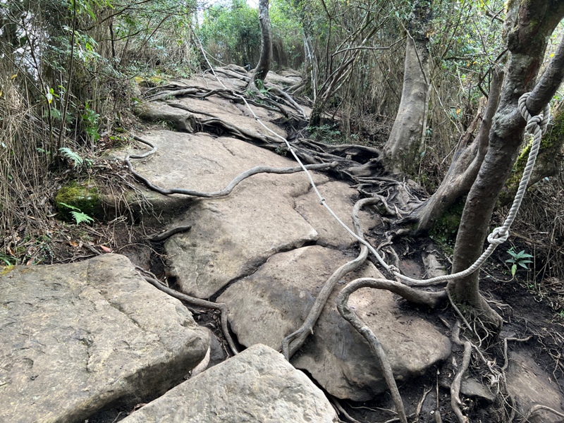 jialimt42 南庄-苗栗國第一高峰 小百岳加里山 拉繩攀岩直上頂峰