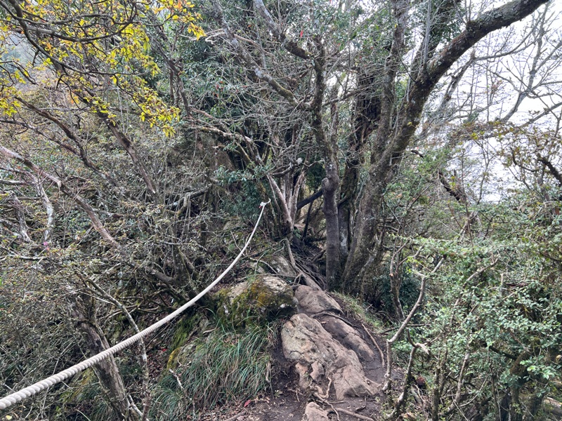 jialimt44 南庄-苗栗國第一高峰 小百岳加里山 拉繩攀岩直上頂峰