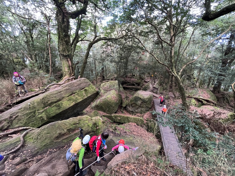jialimt57 南庄-苗栗國第一高峰 小百岳加里山 拉繩攀岩直上頂峰