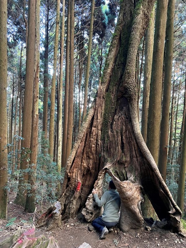 jialimt58-rotated 南庄-苗栗國第一高峰 小百岳加里山 拉繩攀岩直上頂峰