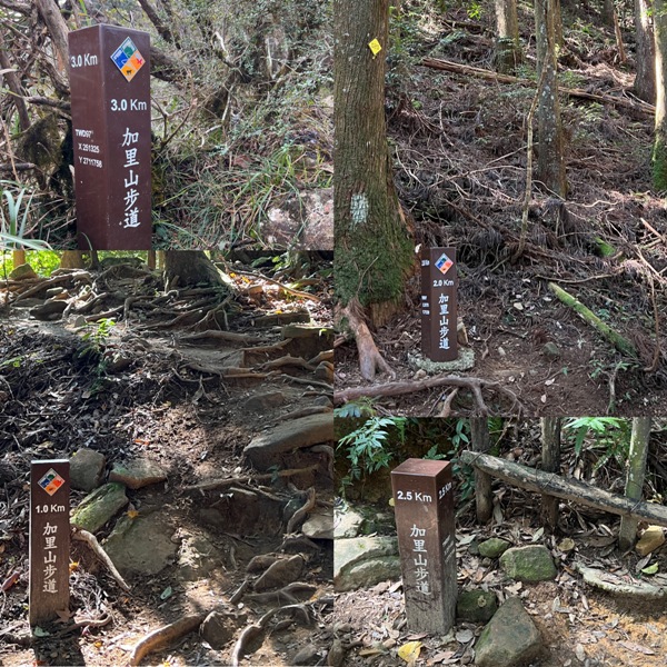 jialimt60 南庄-苗栗國第一高峰 小百岳加里山 拉繩攀岩直上頂峰