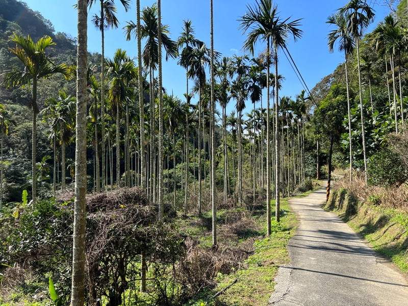 stoneoxmt06 關西-石牛山 景觀好路線多變有趣的小百岳
