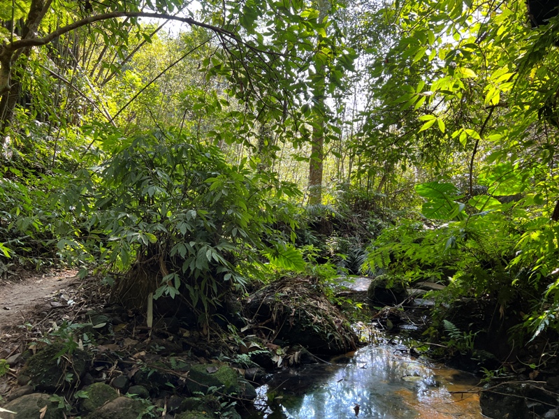 stoneoxmt11 關西-石牛山 景觀好路線多變有趣的小百岳