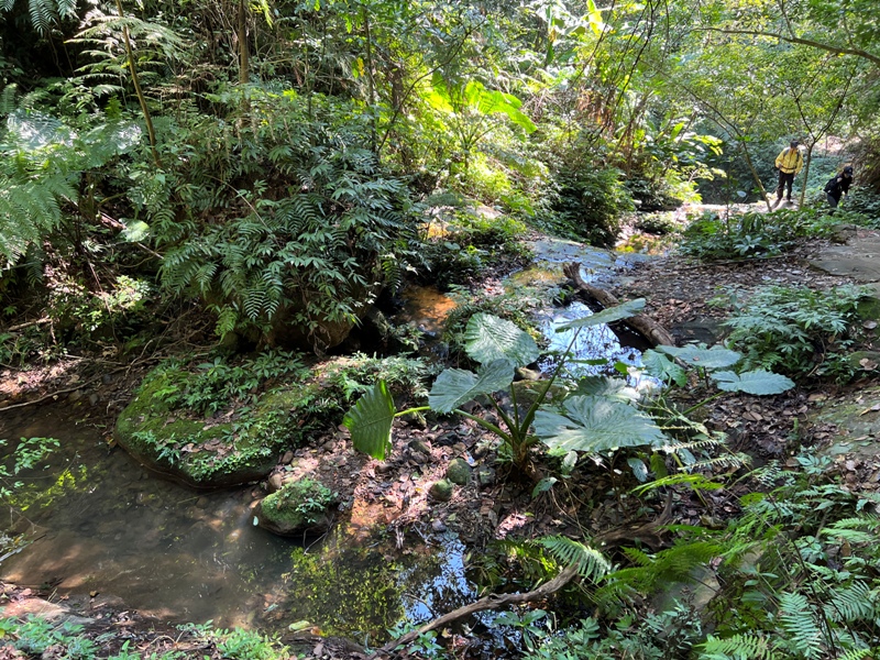 stoneoxmt15 關西-石牛山 景觀好路線多變有趣的小百岳