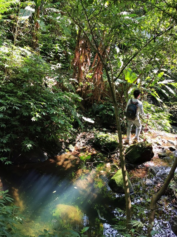 stoneoxmt16 關西-石牛山 景觀好路線多變有趣的小百岳