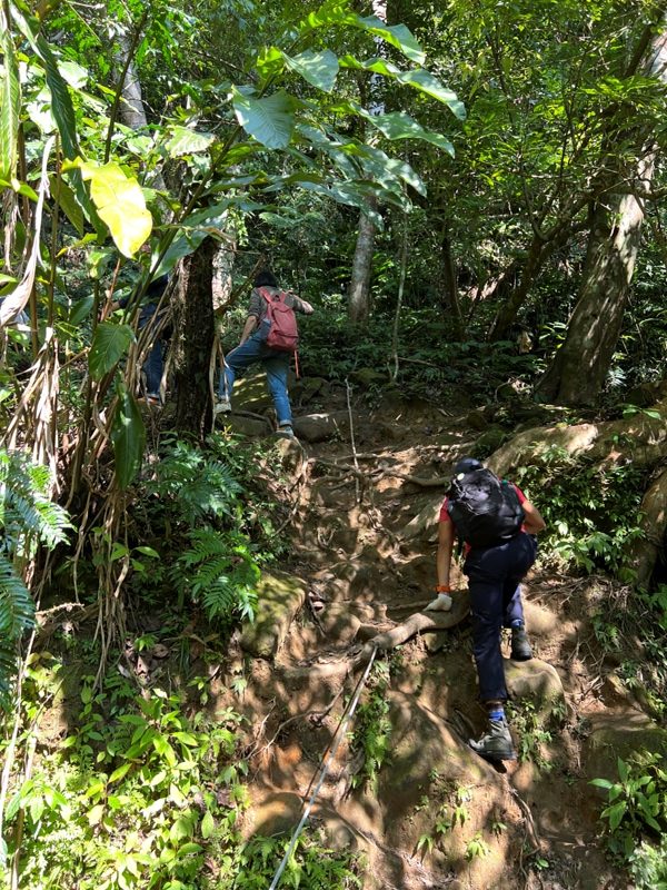 stoneoxmt17-rotated 關西-石牛山 景觀好路線多變有趣的小百岳