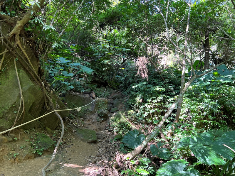 stoneoxmt28 關西-石牛山 景觀好路線多變有趣的小百岳