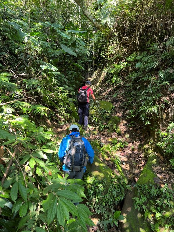 stoneoxmt29-rotated 關西-石牛山 景觀好路線多變有趣的小百岳