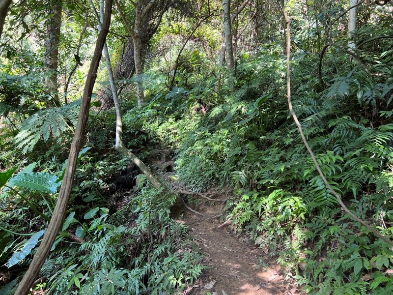 stoneoxmt30 關西-石牛山 景觀好路線多變有趣的小百岳