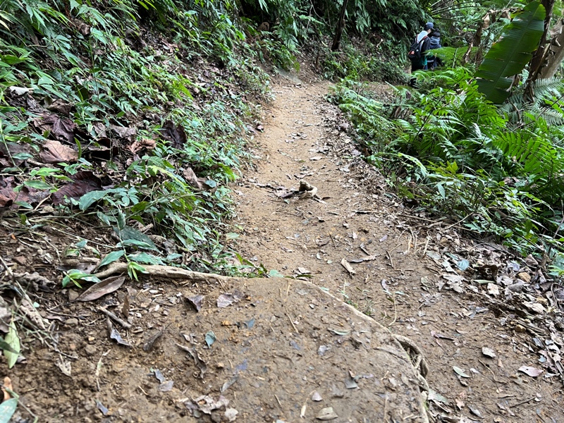 stoneoxmt40 關西-石牛山 景觀好路線多變有趣的小百岳