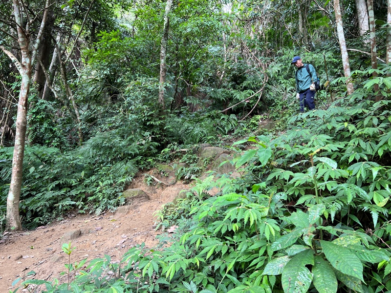 stoneoxmt41 關西-石牛山 景觀好路線多變有趣的小百岳