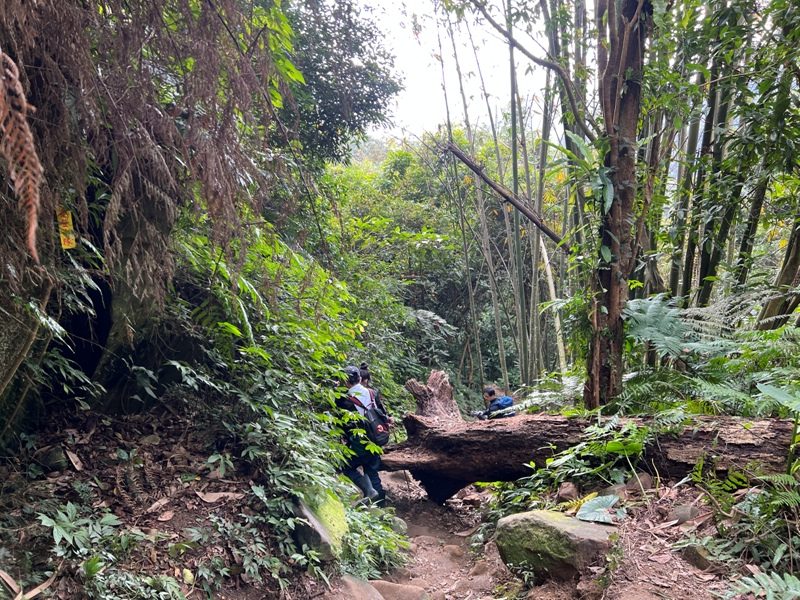 stoneoxmt42-rotated 關西-石牛山 景觀好路線多變有趣的小百岳