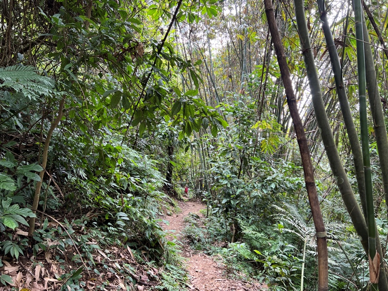 stoneoxmt43 關西-石牛山 景觀好路線多變有趣的小百岳