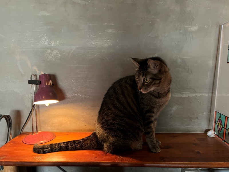 cafechamber19 台南中西區-秘氏咖啡 台式傳統市場中的舊香港氣味