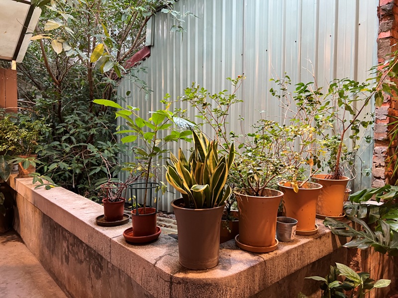 illuminationbooks12 大同-浮光書店/咖啡 赤峰街老宅書香配咖啡