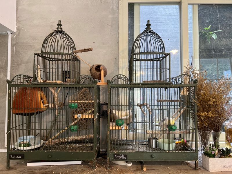 tsuitsui13 尖石-萃萃咖啡 韓風藝文咖啡館