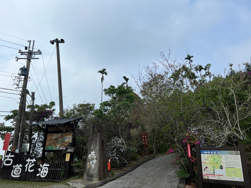 huntingeagle000001103 楠西-梅嶺風景區 梅峰古道+稜線步道+伍龍步道 獵鷹尖一線天景觀讚