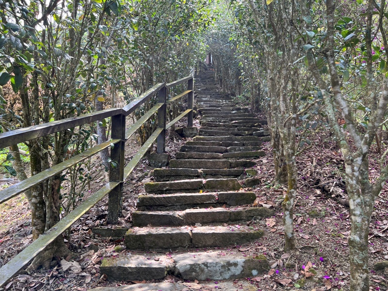 huntingeagle000001106 楠西-梅嶺風景區 梅峰古道+稜線步道+伍龍步道 獵鷹尖一線天景觀讚