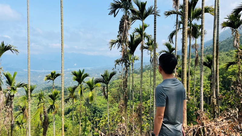 huntingeagle000001109 楠西-梅嶺風景區 梅峰古道+稜線步道+伍龍步道 獵鷹尖一線天景觀讚